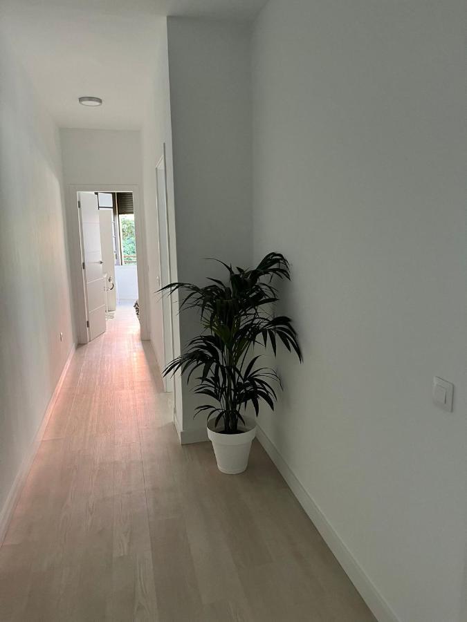 Tantulia Callao 57 Aptartamento 5Hab Centro De La Capital En Tenerife 산타크루스데 테네리페 외부 사진